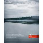 Bold Ogilvy